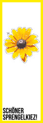 Ringelblume