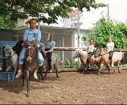 Ponies